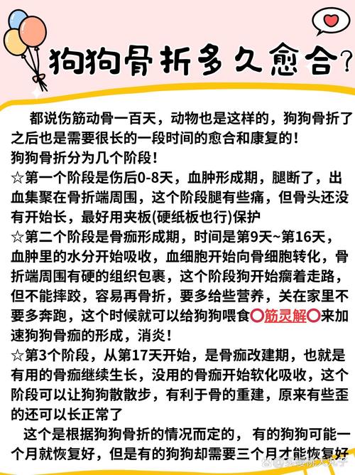 狗狗骨折后几天能消肿_狗狗骨折后多久开始长骨头-第4张图片-后鲨宠物 狗狗骨折后几天能消肿_狗狗骨折后多久开始长骨头-第4张图片-后鲨宠物