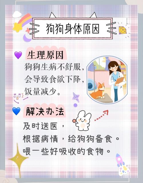 狗狗不吃食物怎么办,狗狗不吃食物怎么回事-第1张图片-后鲨宠物 狗狗不吃食物怎么办,狗狗不吃食物怎么回事-第1张图片-后鲨宠物