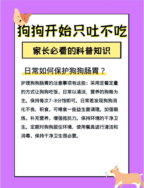 狗狗不吃食物怎么办,狗狗不吃食物怎么回事-第6张图片-后鲨宠物 狗狗不吃食物怎么办,狗狗不吃食物怎么回事-第6张图片-后鲨宠物