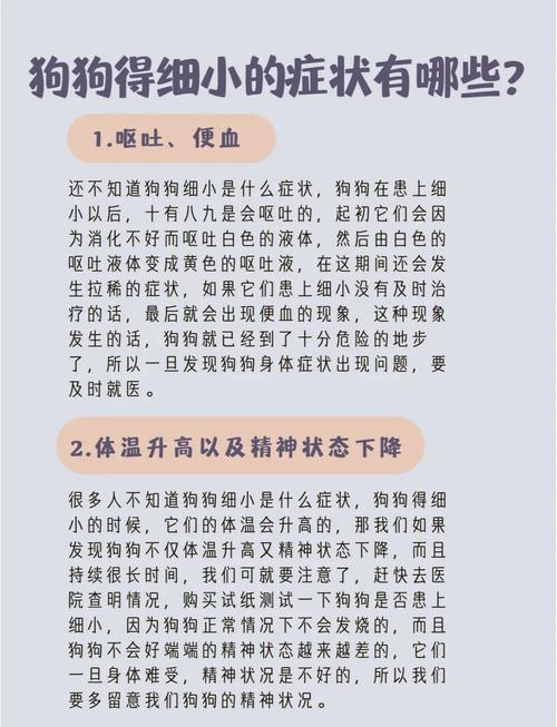 狗狗多大会得细小,狗一般多大会得细小-第3张图片-后鲨宠物 狗狗多大会得细小,狗一般多大会得细小-第3张图片-后鲨宠物