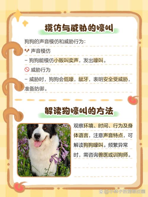  狗狗嚎叫是什么意思，狗狗嚎叫是怎么回事-第2张图片-后鲨宠物