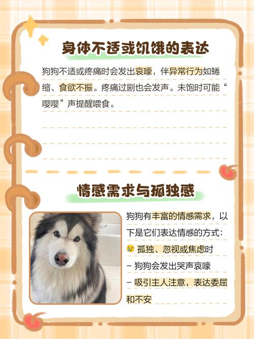  狗狗嚎叫是什么意思，狗狗嚎叫是怎么回事-第4张图片-后鲨宠物