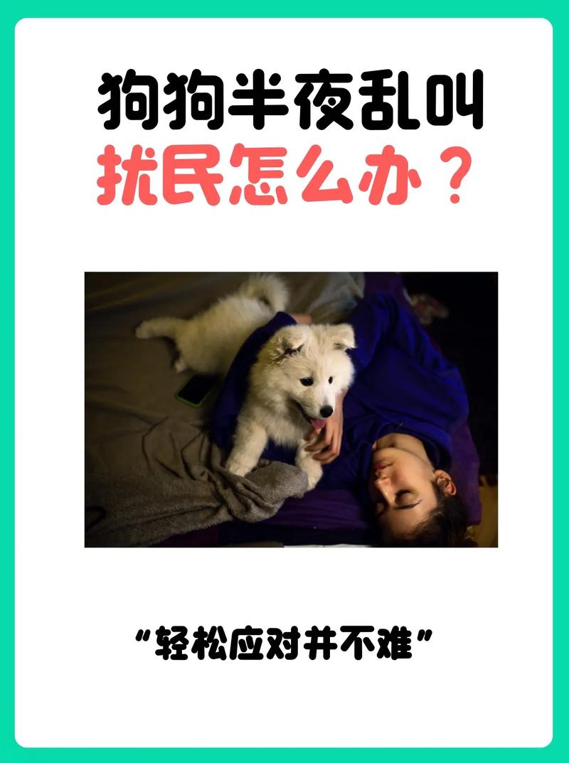  狗狗半夜一直叫怎么办，狗狗半夜一直叫怎么办,平时都没有的-第2张图片-后鲨宠物