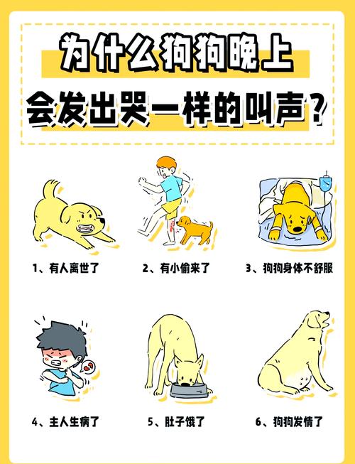  狗狗半夜一直叫怎么办，狗狗半夜一直叫怎么办,平时都没有的-第5张图片-后鲨宠物