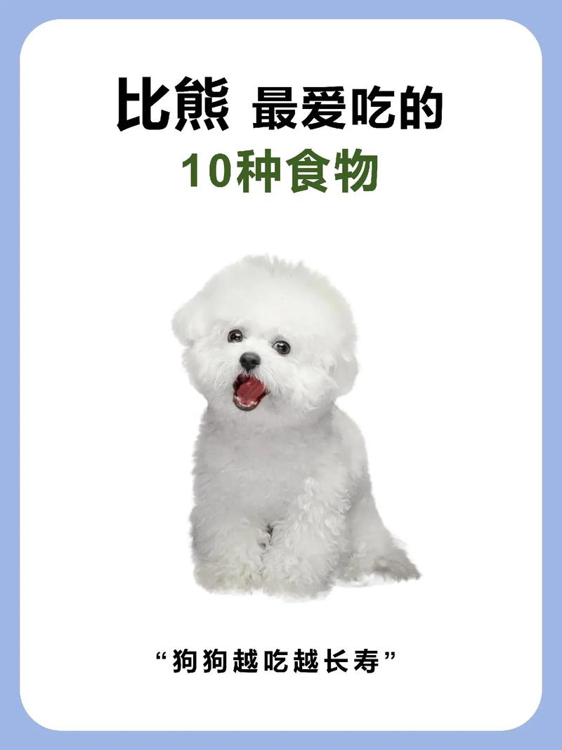 狗狗可以吃香菇吗,狗能吃香菇嘛?-第5张图片-后鲨宠物 狗狗可以吃香菇吗,狗能吃香菇嘛?-第5张图片-后鲨宠物