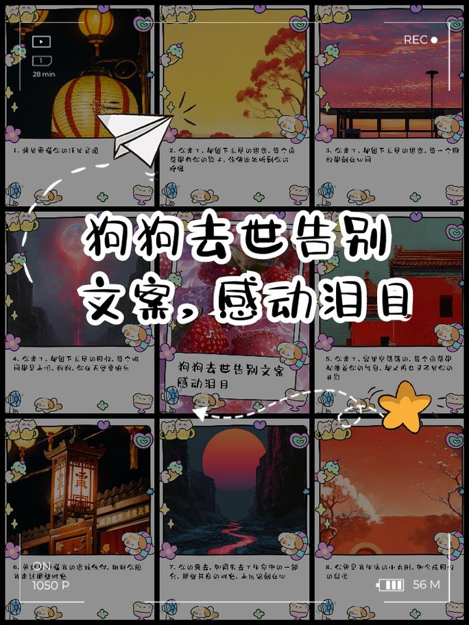 怎么接受狗狗的离去,怎么接受狗狗的离去的信息-第1张图片-后鲨宠物 怎么接受狗狗的离去,怎么接受狗狗的离去的信息-第1张图片-后鲨宠物