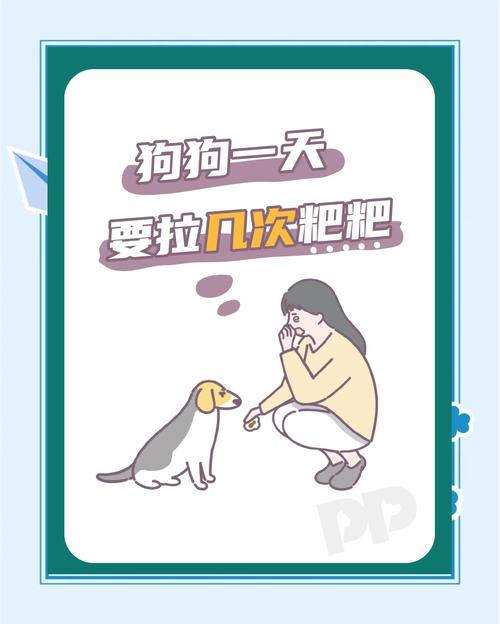 三个月狗狗一天拉几次_3个月的狗狗一天拉几次大便-第2张图片-后鲨宠物 三个月狗狗一天拉几次_3个月的狗狗一天拉几次大便-第2张图片-后鲨宠物