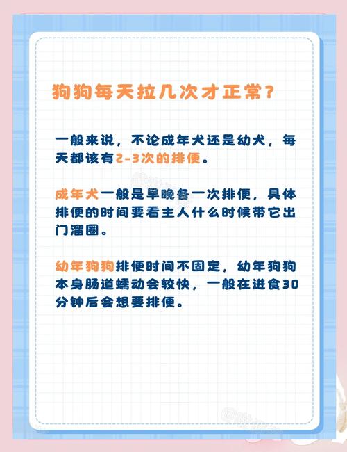 三个月狗狗一天拉几次_3个月的狗狗一天拉几次大便-第4张图片-后鲨宠物 三个月狗狗一天拉几次_3个月的狗狗一天拉几次大便-第4张图片-后鲨宠物