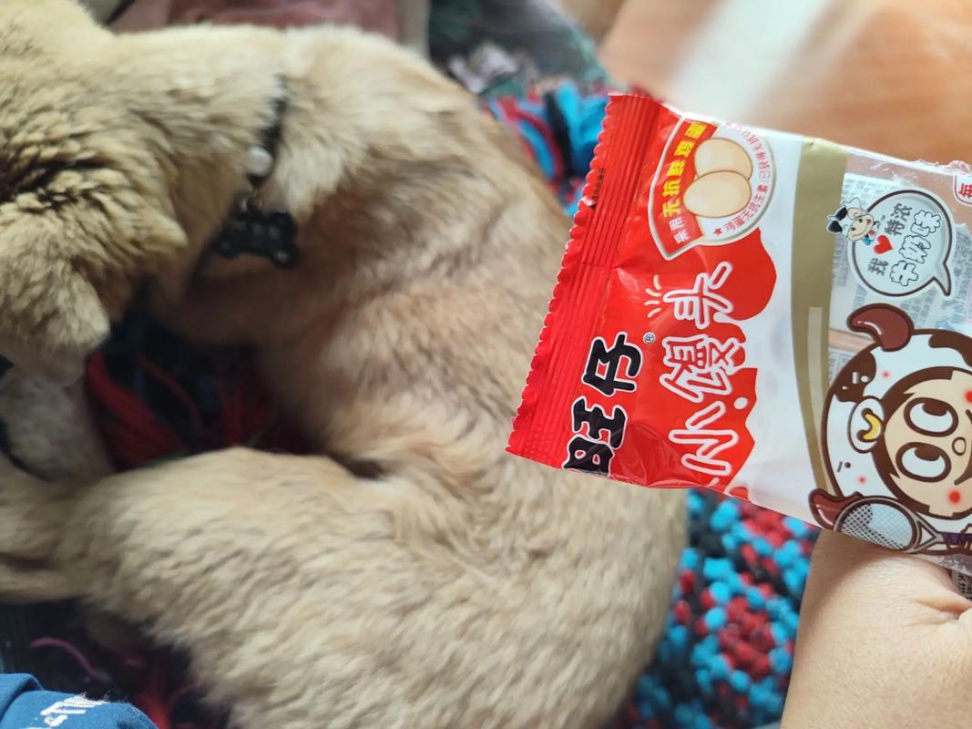 狗狗可以吃旺仔小馒头吗,狗能吃旺仔小馒头作为训狗零食吗?-第3张图片-后鲨宠物 狗狗可以吃旺仔小馒头吗,狗能吃旺仔小馒头作为训狗零食吗?-第3张图片-后鲨宠物