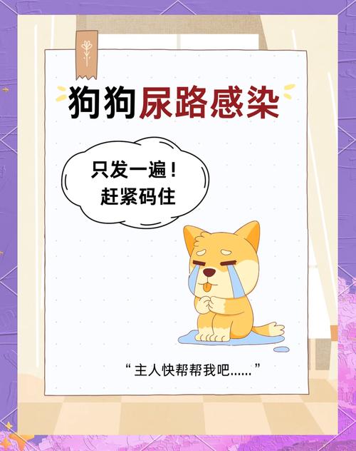 狗狗得细小开始排尿了,狗狗得了细小尿变浅是否好事-第4张图片-后鲨宠物 狗狗得细小开始排尿了,狗狗得了细小尿变浅是否好事-第4张图片-后鲨宠物