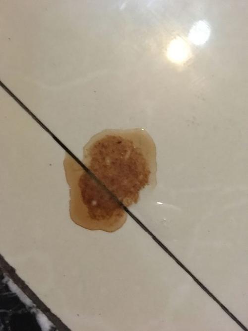 狗狗得细小开始排尿了,狗狗得了细小尿变浅是否好事-第5张图片-后鲨宠物 狗狗得细小开始排尿了,狗狗得了细小尿变浅是否好事-第5张图片-后鲨宠物