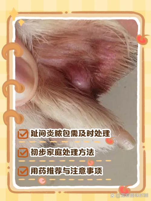 狗狗得趾间炎怎么办,狗狗趾间炎能根治吗?-第5张图片-后鲨宠物 狗狗得趾间炎怎么办,狗狗趾间炎能根治吗?-第5张图片-后鲨宠物