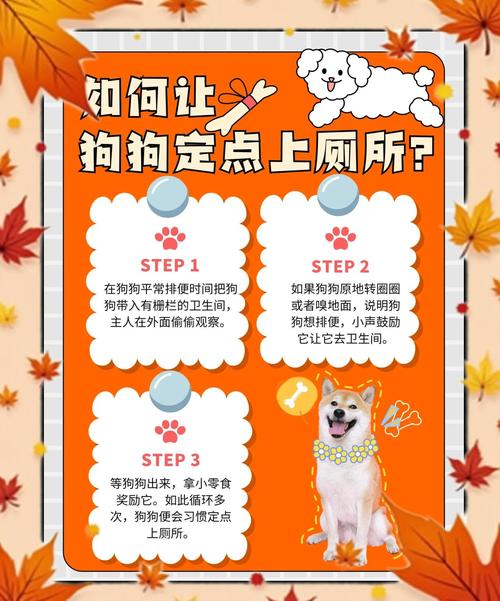 如何让狗狗拉屎_如何让狗狗拉屎快-第2张图片-后鲨宠物 如何让狗狗拉屎_如何让狗狗拉屎快-第2张图片-后鲨宠物