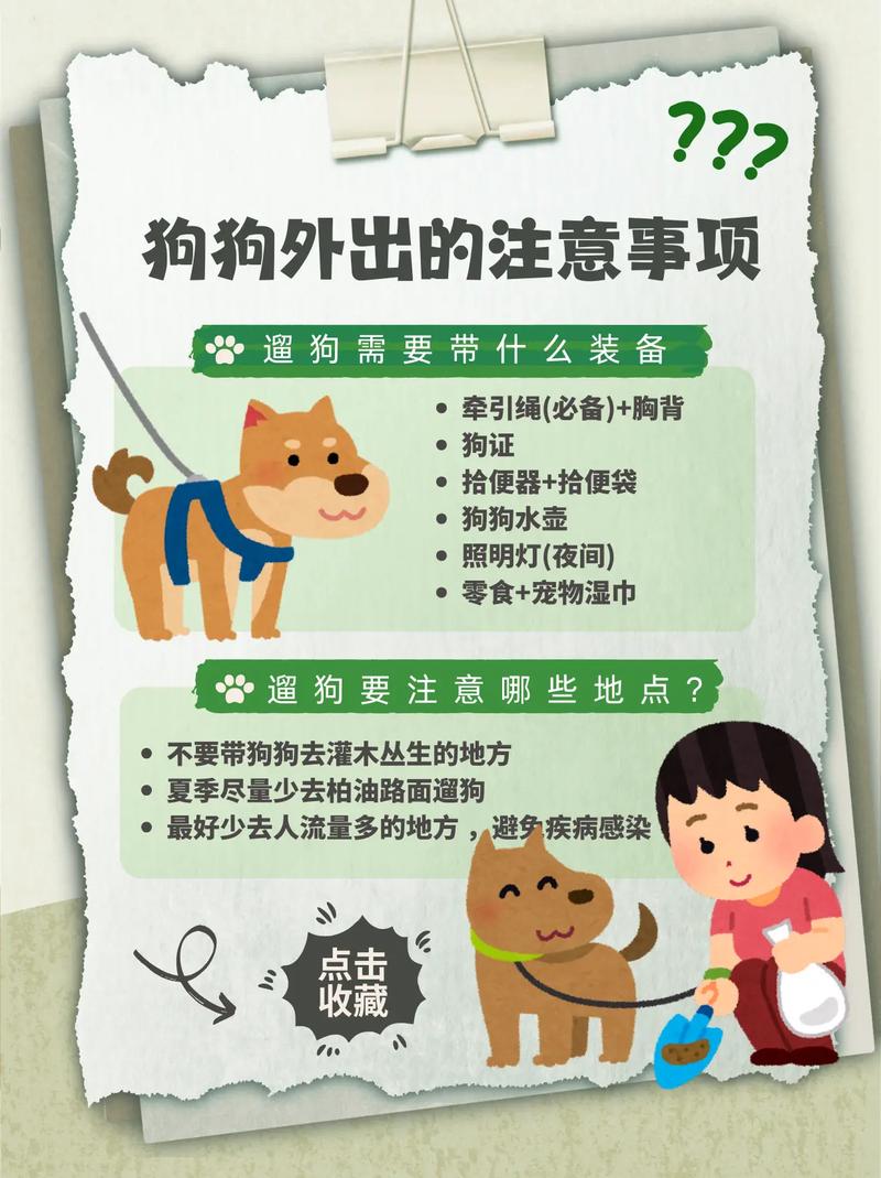 狗狗不出门怎么办,狗狗不出门遛会怎样?-第1张图片-后鲨宠物 狗狗不出门怎么办,狗狗不出门遛会怎样?-第1张图片-后鲨宠物