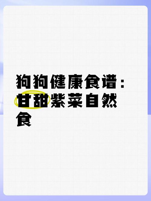 狗狗能吃紫菜吗_狗狗能吃紫菜吗?-第3张图片-后鲨宠物 狗狗能吃紫菜吗_狗狗能吃紫菜吗?-第3张图片-后鲨宠物