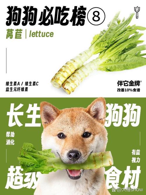 狗狗可以吃莴笋吗,狗可以吃莴笋么-第1张图片-后鲨宠物 狗狗可以吃莴笋吗,狗可以吃莴笋么-第1张图片-后鲨宠物