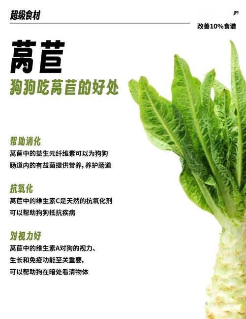 狗狗可以吃莴笋吗,狗可以吃莴笋么-第3张图片-后鲨宠物 狗狗可以吃莴笋吗,狗可以吃莴笋么-第3张图片-后鲨宠物