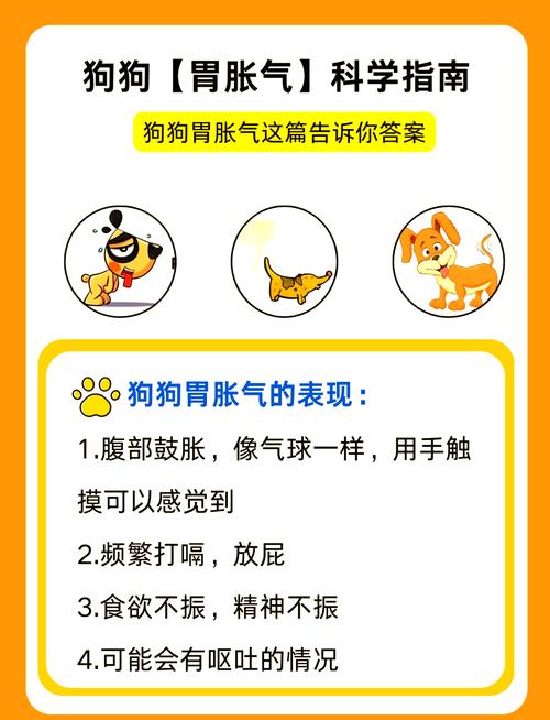 调理狗狗肠胃的药,给狗狗调理肠胃吃什么药-第4张图片-后鲨宠物 调理狗狗肠胃的药,给狗狗调理肠胃吃什么药-第4张图片-后鲨宠物