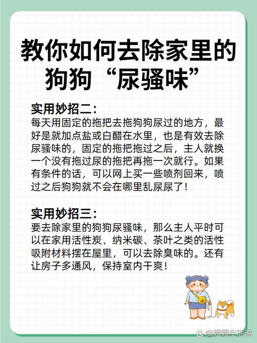 怎么去除狗狗的尿骚味,怎么样彻底去除狗的尿骚味-第1张图片-后鲨宠物 怎么去除狗狗的尿骚味,怎么样彻底去除狗的尿骚味-第1张图片-后鲨宠物