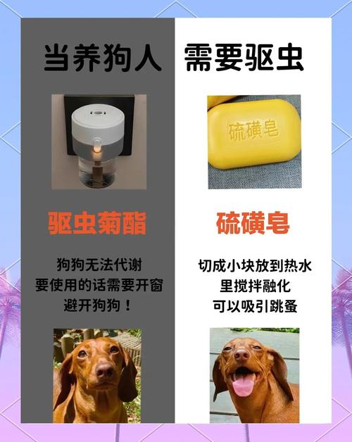 怎么防止蚊子咬狗狗_怎么防止蚊子咬狗狗的眼睛-第4张图片-后鲨宠物