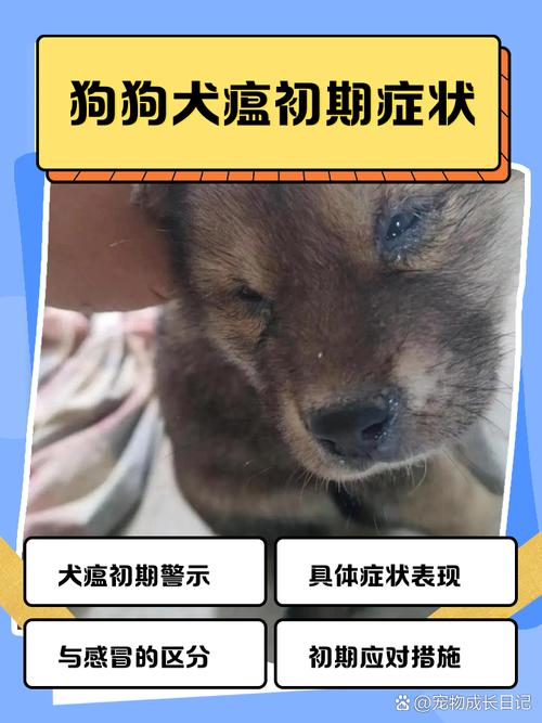 狗狗犬瘟的前兆,狗狗犬瘟的症状有哪些症状?-第4张图片-后鲨宠物 狗狗犬瘟的前兆,狗狗犬瘟的症状有哪些症状?-第4张图片-后鲨宠物