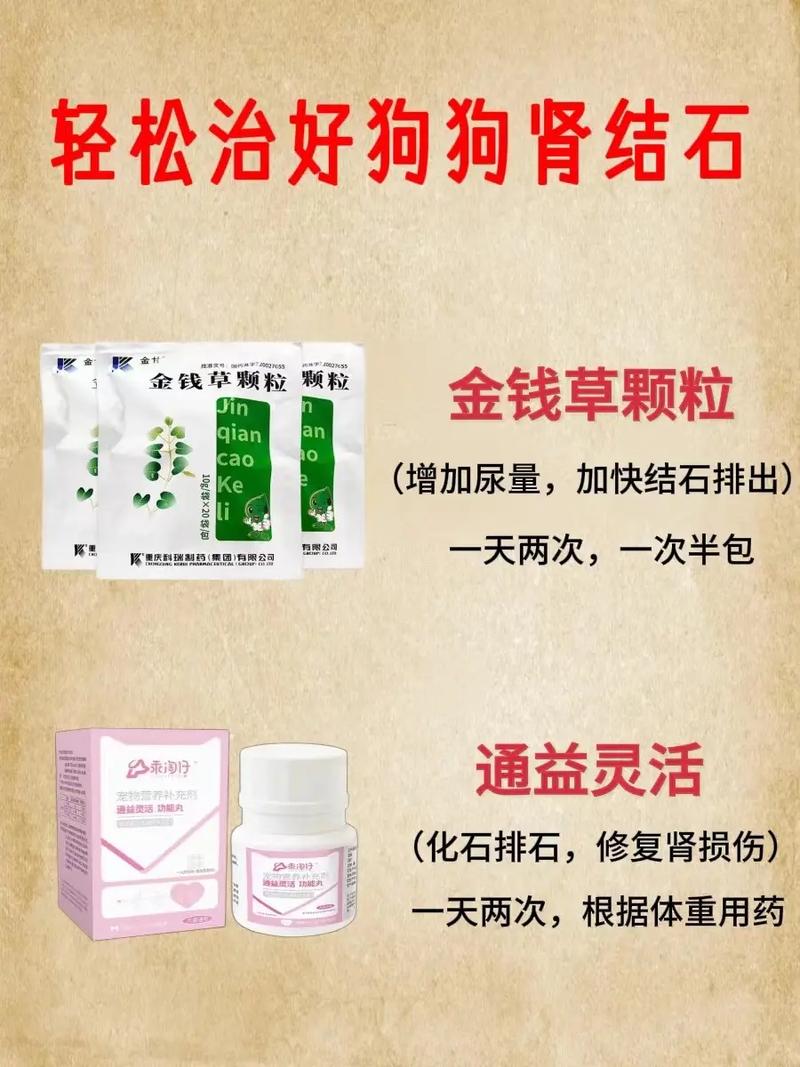 狗狗得了肾结石怎么办_狗狗有肾结石-第1张图片-后鲨宠物 狗狗得了肾结石怎么办_狗狗有肾结石-第1张图片-后鲨宠物