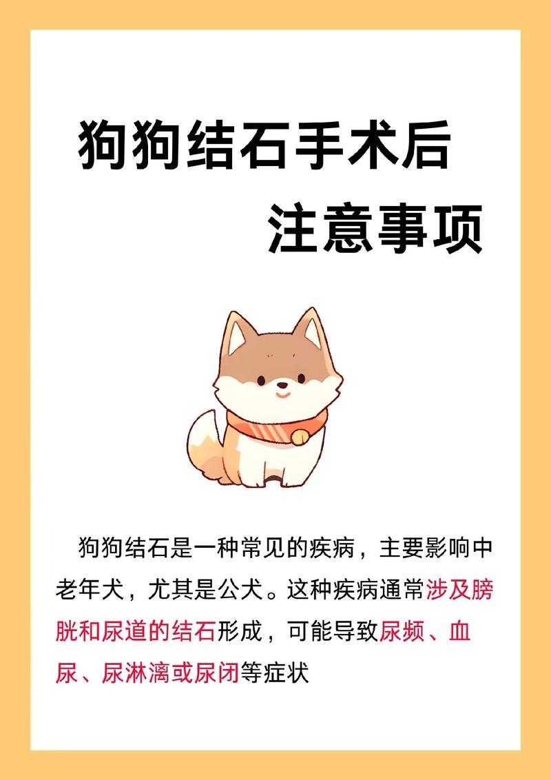 狗狗得了肾结石怎么办_狗狗有肾结石-第2张图片-后鲨宠物 狗狗得了肾结石怎么办_狗狗有肾结石-第2张图片-后鲨宠物