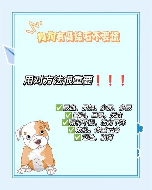 狗狗得了肾结石怎么办_狗狗有肾结石-第4张图片-后鲨宠物 狗狗得了肾结石怎么办_狗狗有肾结石-第4张图片-后鲨宠物