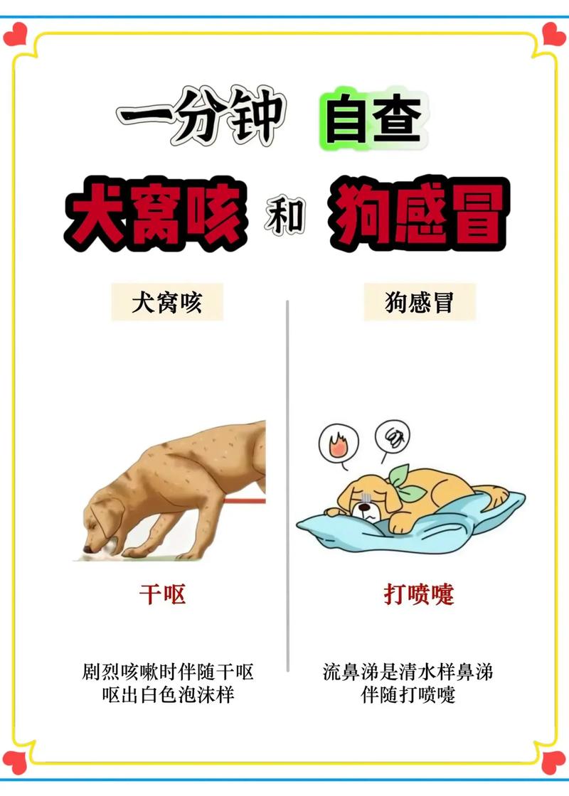 狗狗咳嗽流鼻涕怎么办_狗狗感冒咳嗽流鼻涕吃什么药-第1张图片-后鲨宠物 狗狗咳嗽流鼻涕怎么办_狗狗感冒咳嗽流鼻涕吃什么药-第1张图片-后鲨宠物