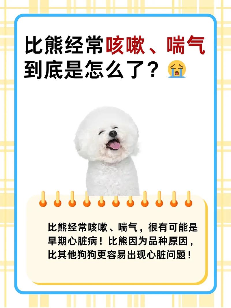 狗狗咳嗽流鼻涕怎么办_狗狗感冒咳嗽流鼻涕吃什么药-第5张图片-后鲨宠物 狗狗咳嗽流鼻涕怎么办_狗狗感冒咳嗽流鼻涕吃什么药-第5张图片-后鲨宠物