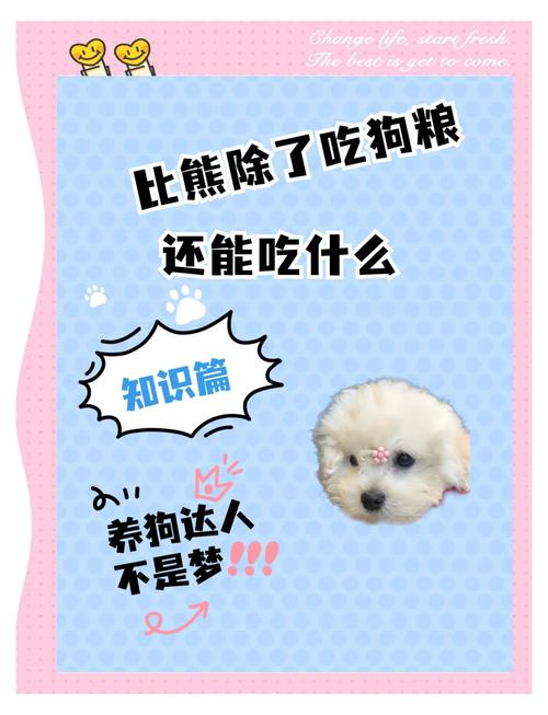 狗狗吃什么美毛_狗狗吃什么美毛,增肥-第3张图片-后鲨宠物 狗狗吃什么美毛_狗狗吃什么美毛,增肥-第3张图片-后鲨宠物