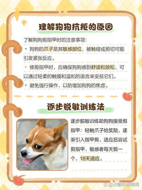 狗狗不让剪指甲怎么办,狗狗不让剪指甲怎么办咬人-第5张图片-后鲨宠物 狗狗不让剪指甲怎么办,狗狗不让剪指甲怎么办咬人-第5张图片-后鲨宠物