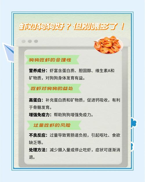 狗狗可以吃虾吗,比熊狗狗可以吃虾吗?-第5张图片-后鲨宠物 狗狗可以吃虾吗,比熊狗狗可以吃虾吗?-第5张图片-后鲨宠物