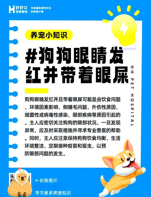 狗狗能用氯霉素眼药水吗_氯霉素眼药狗狗可以用吗-第4张图片-后鲨宠物