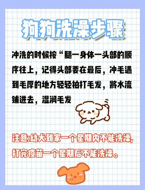 狗狗几个月能洗澡,狗狗几个月洗澡合适?-第6张图片-后鲨宠物 狗狗几个月能洗澡,狗狗几个月洗澡合适?-第6张图片-后鲨宠物