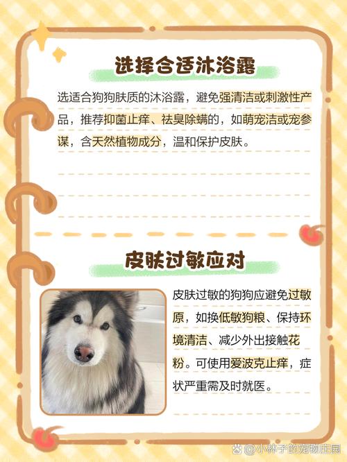 狗狗瘙痒原因有哪些,狗狗瘙痒原因有哪些呢?-第3张图片-后鲨宠物 狗狗瘙痒原因有哪些,狗狗瘙痒原因有哪些呢?-第3张图片-后鲨宠物