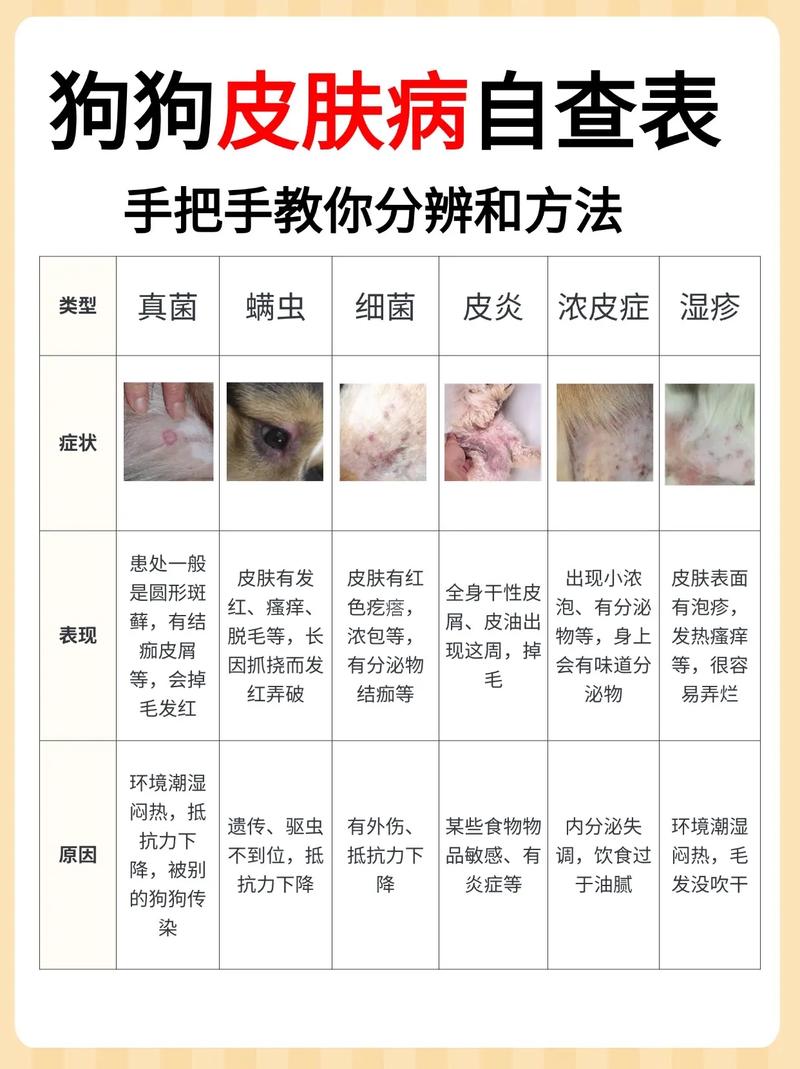 狗狗瘙痒原因有哪些,狗狗瘙痒原因有哪些呢?-第4张图片-后鲨宠物 狗狗瘙痒原因有哪些,狗狗瘙痒原因有哪些呢?-第4张图片-后鲨宠物