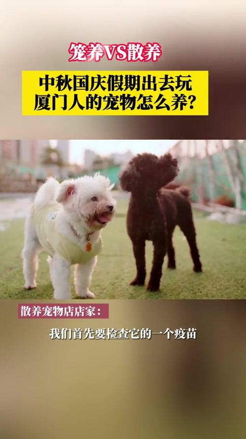 狗狗笼养好还是散养好,狗狗笼养好还是放养好-第2张图片-后鲨宠物 狗狗笼养好还是散养好,狗狗笼养好还是放养好-第2张图片-后鲨宠物