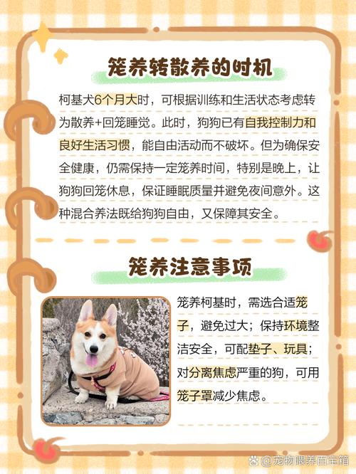 狗狗笼养好还是散养好,狗狗笼养好还是放养好-第3张图片-后鲨宠物 狗狗笼养好还是散养好,狗狗笼养好还是放养好-第3张图片-后鲨宠物