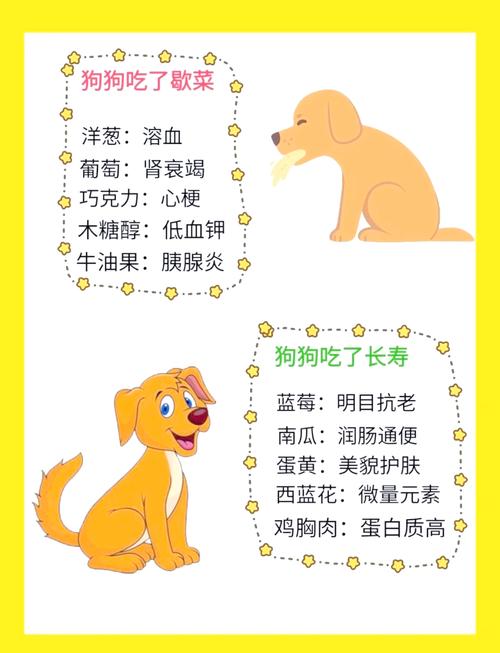 狗狗可以吃凉粉吗,狗可以吃凉粉草吗?-第1张图片-后鲨宠物 狗狗可以吃凉粉吗,狗可以吃凉粉草吗?-第1张图片-后鲨宠物