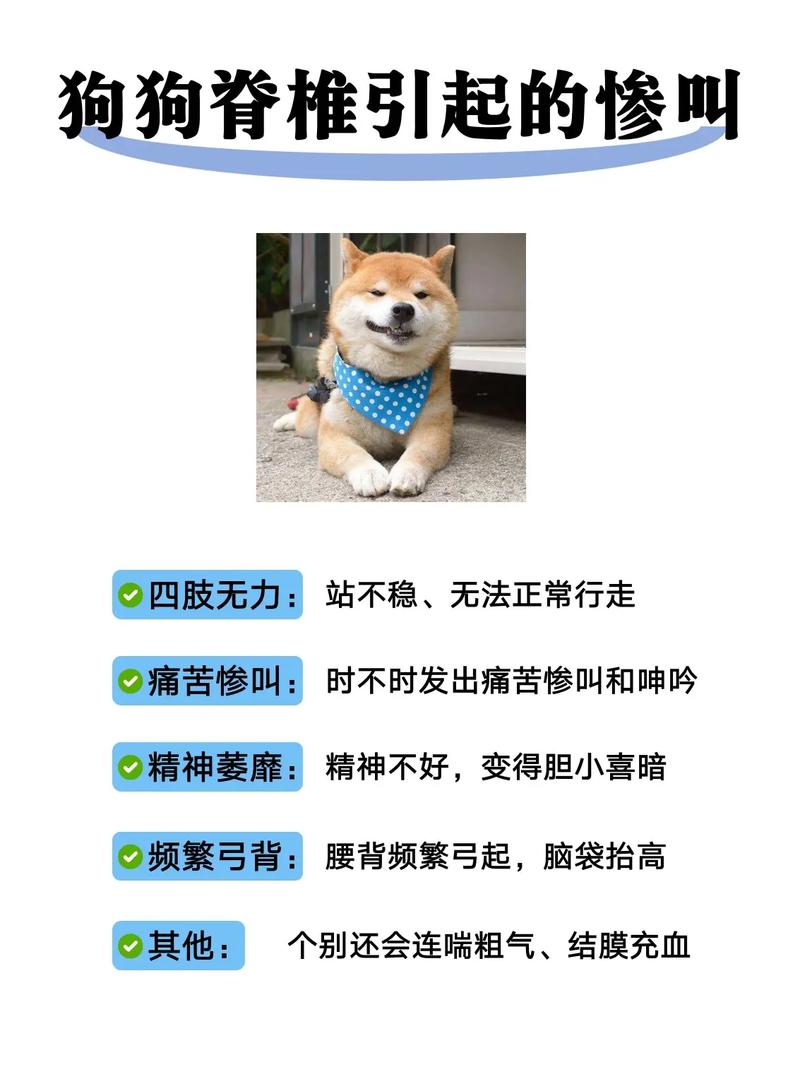 狗狗哼唧是什么意思_狗狗哼唧是什么意思网络用语-第5张图片-后鲨宠物 狗狗哼唧是什么意思_狗狗哼唧是什么意思网络用语-第5张图片-后鲨宠物