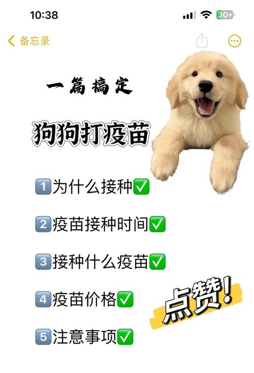 狗狗多大打疫苗比较好,狗狗多大打疫苗好点,打几联的-第3张图片-后鲨宠物 狗狗多大打疫苗比较好,狗狗多大打疫苗好点,打几联的-第3张图片-后鲨宠物