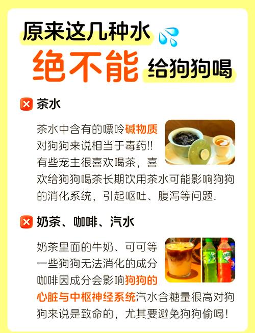 狗狗可以喝奶茶吗_狗可以喝奶茶嘛-第1张图片-后鲨宠物 狗狗可以喝奶茶吗_狗可以喝奶茶嘛-第1张图片-后鲨宠物