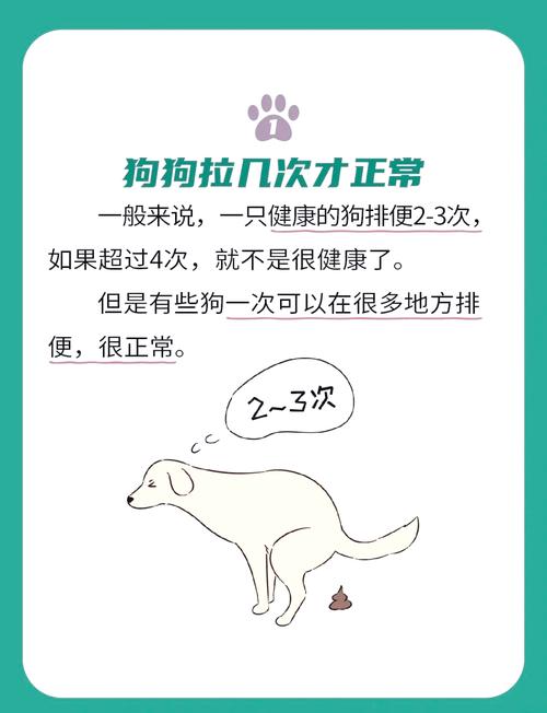 狗狗便便多是怎么回事，狗狗便便太多？-第1张图片-后鲨宠物