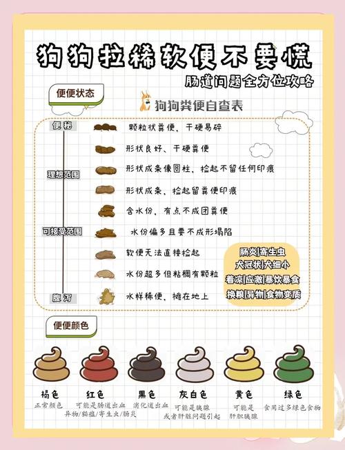 狗狗便便多是怎么回事，狗狗便便太多？-第5张图片-后鲨宠物