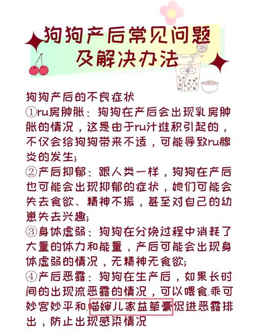 狗狗怀孕不吃东西怎么办_狗狗怀孕不吃东西怎么办视频-第6张图片-后鲨宠物 狗狗怀孕不吃东西怎么办_狗狗怀孕不吃东西怎么办视频-第6张图片-后鲨宠物