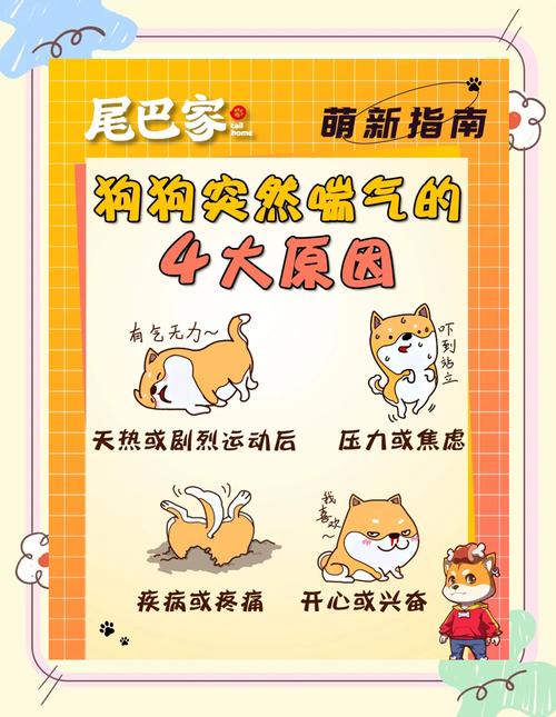 狗狗喘的厉害怎么回事,狗狗喘气喘得特别急是为什么?-第2张图片-后鲨宠物 狗狗喘的厉害怎么回事,狗狗喘气喘得特别急是为什么?-第2张图片-后鲨宠物