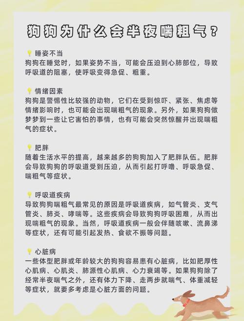狗狗喘的厉害怎么回事,狗狗喘气喘得特别急是为什么?-第3张图片-后鲨宠物 狗狗喘的厉害怎么回事,狗狗喘气喘得特别急是为什么?-第3张图片-后鲨宠物