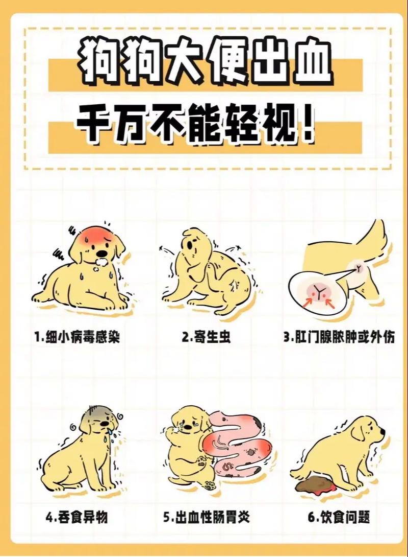 狗狗可以吃牛蛙吗,狗能吃牛蛙肉吗-第2张图片-后鲨宠物 狗狗可以吃牛蛙吗,狗能吃牛蛙肉吗-第2张图片-后鲨宠物