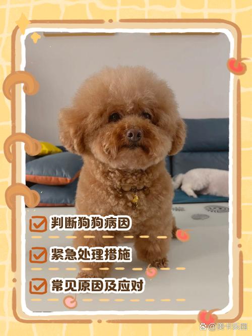 狗狗可以吃牛蛙吗,狗能吃牛蛙肉吗-第4张图片-后鲨宠物 狗狗可以吃牛蛙吗,狗能吃牛蛙肉吗-第4张图片-后鲨宠物